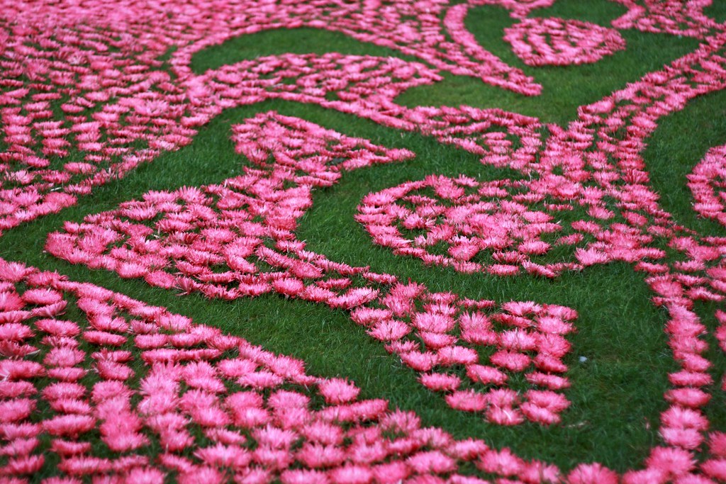 'Carpet of Flowers' from the ground Taken from the viewing… Flickr
