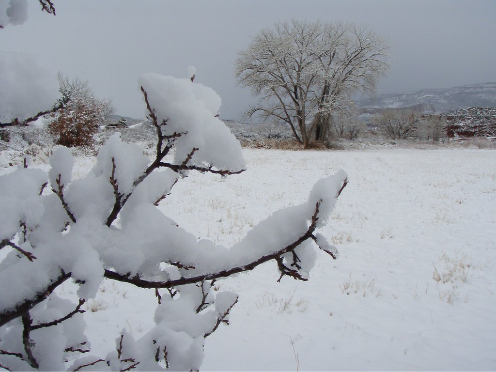 Winter In New Mexico 4 DerekVelasquez Flickr