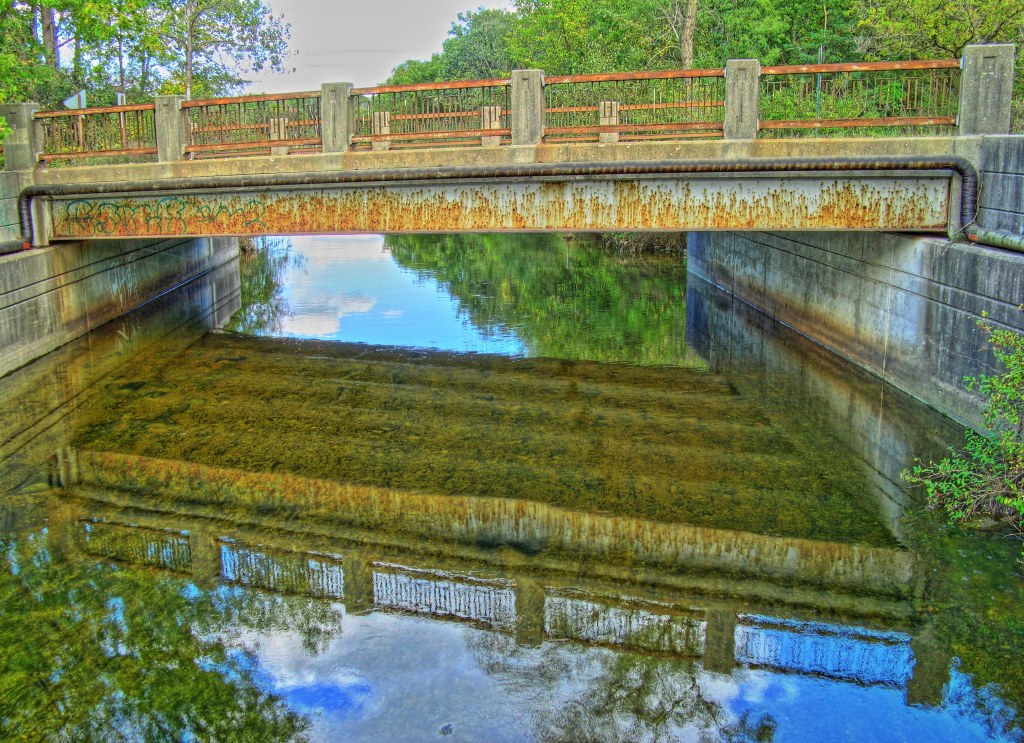 Kensington Road, Island Lake State Park, Michigan The brid… Flickr