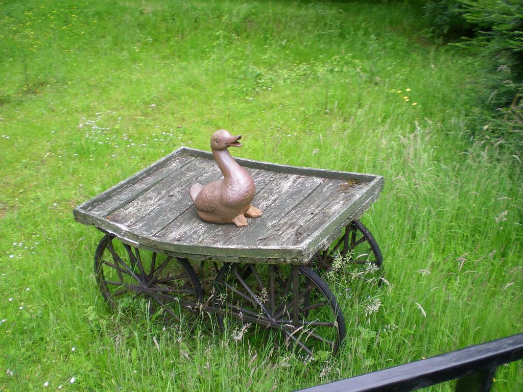 Duck Statue Photos taken at Van Hage Garden Centre, Ware, … Flickr