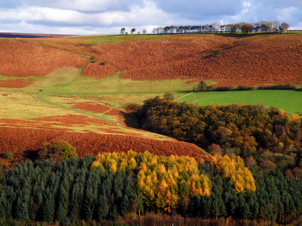 Newtondale Moor Newtondale Moor from Newton Upon Rawcliffe… Flickr