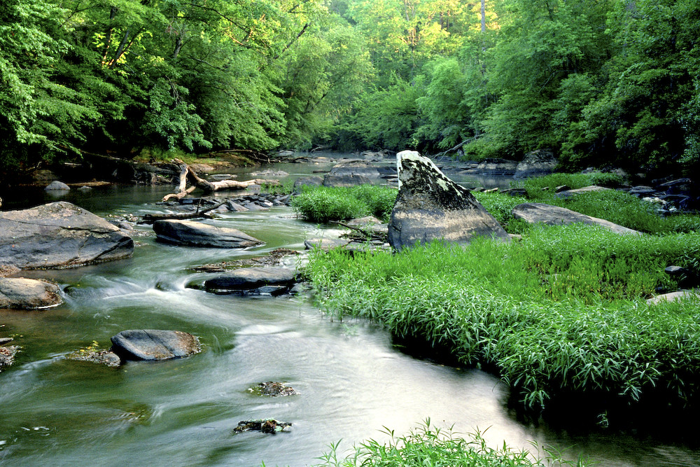 Tallapoosa Tallapoosa River. This river has been … Flickr