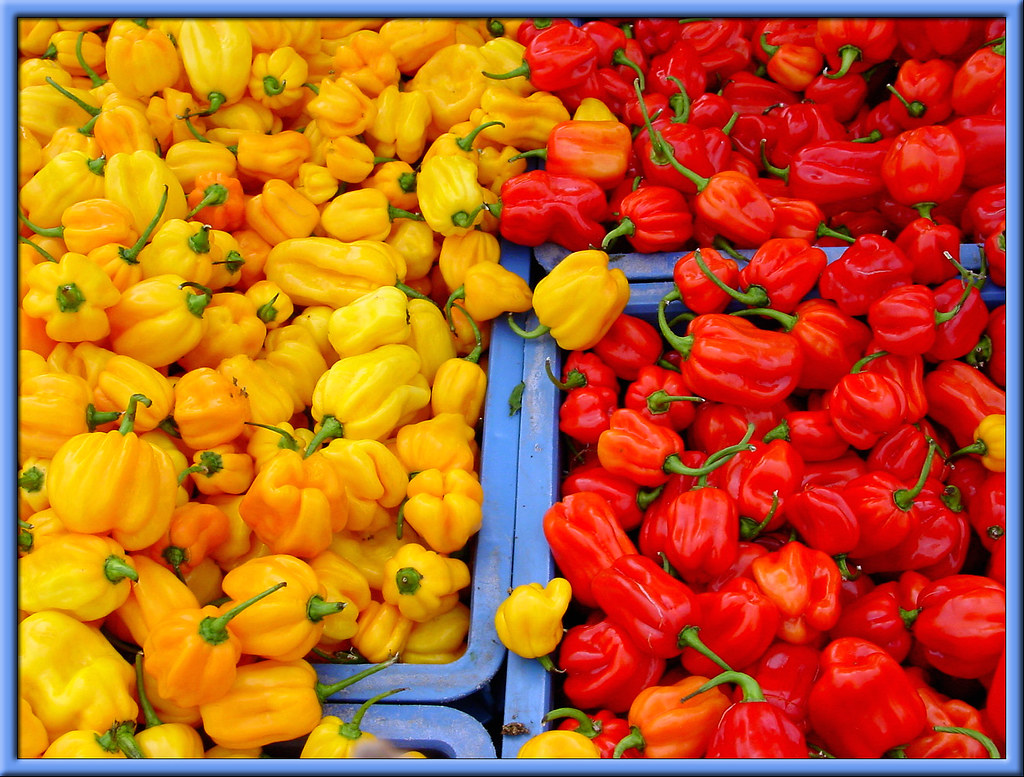 Surinamese peppers These are some of the hottest peppers k… Flickr