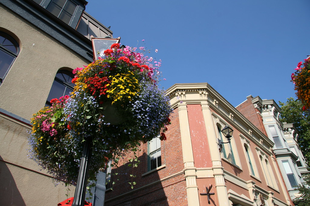 Victoria Flowers Bryan Clark Flickr