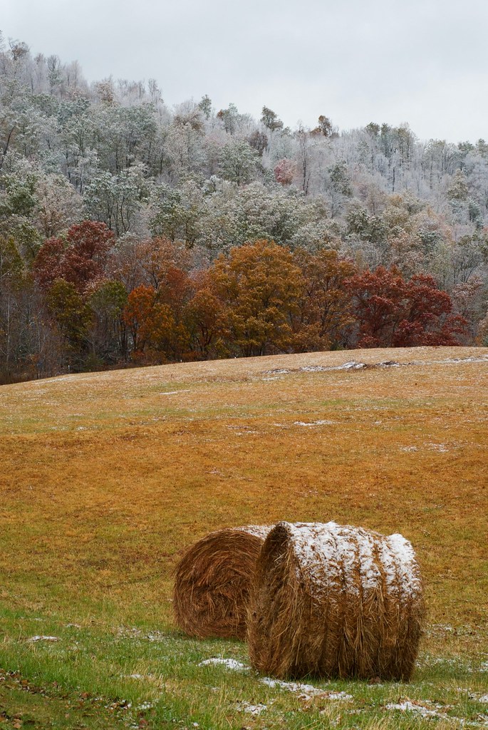 first snow, Nicholas Co., WV Larry Coffman Flickr