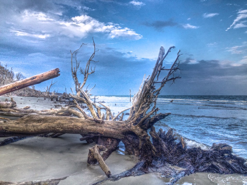 Capers Island, South Carolina Kelly Smallwood Flickr