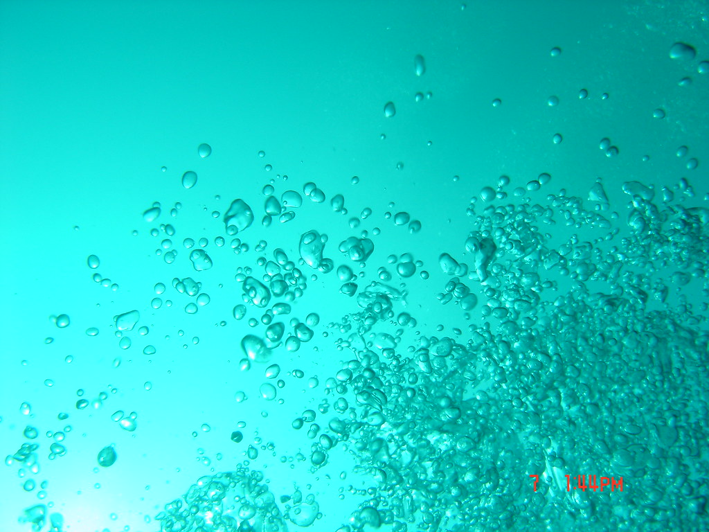 mas bubbles Scuba diving at philadelphia (TN) rock quarry mbro4739