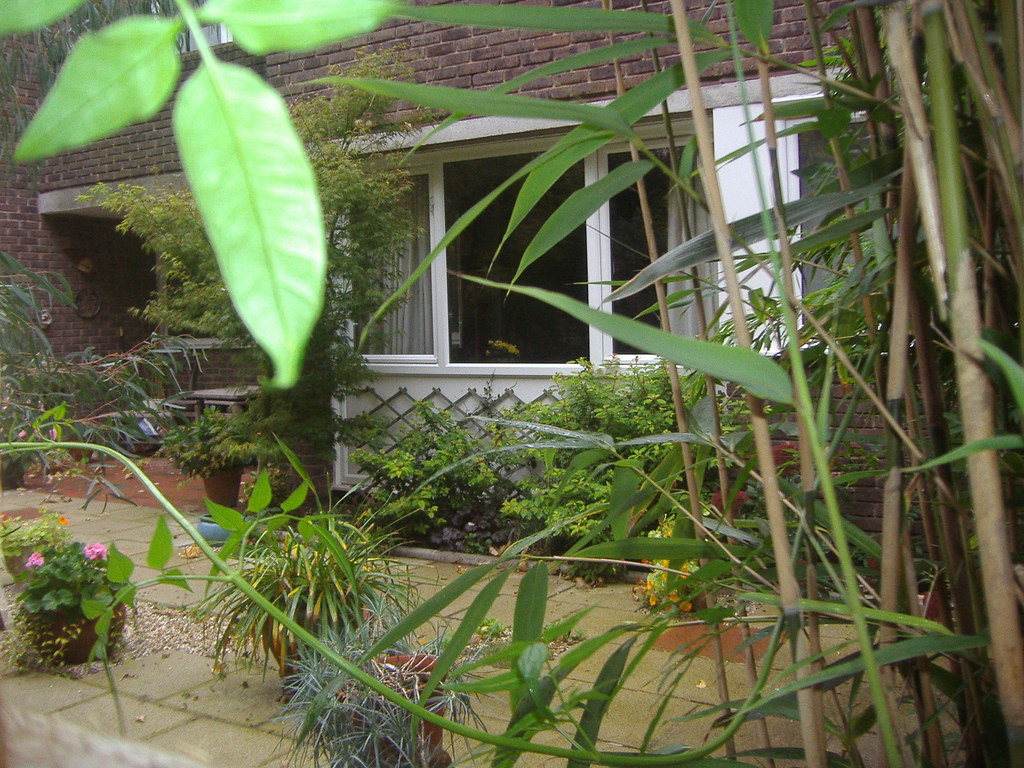 Augustus Close garden David Howard Flickr