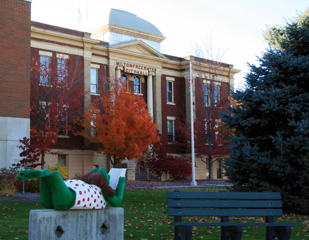 frog reading MiltonFreewater, Oregon. Katherine H Flickr