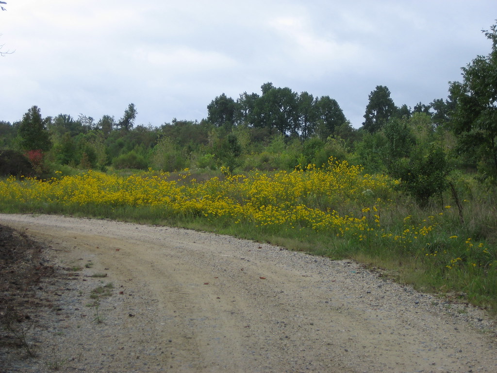 Randall Farm Upper Marlboro, MD Moira Parker Flickr
