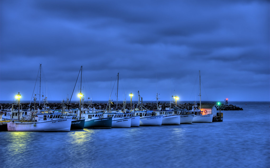 ÉtangduNord JeanFrancois Noel Flickr