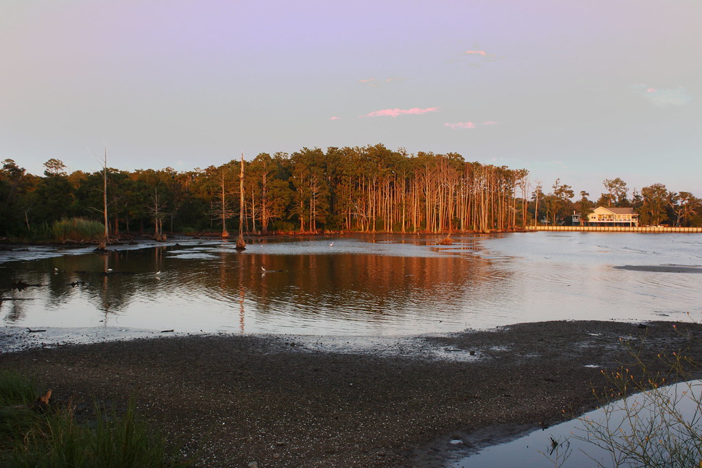 Mandeville Lakefront Pat (Patrick) Flickr