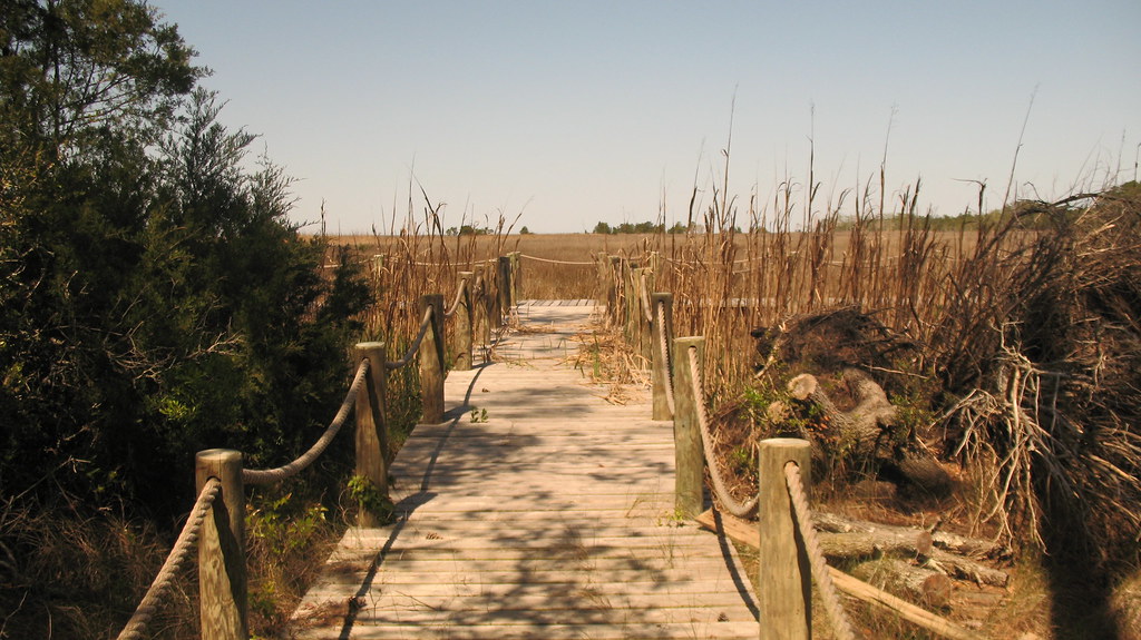 Merrimon, NC islanddave Flickr