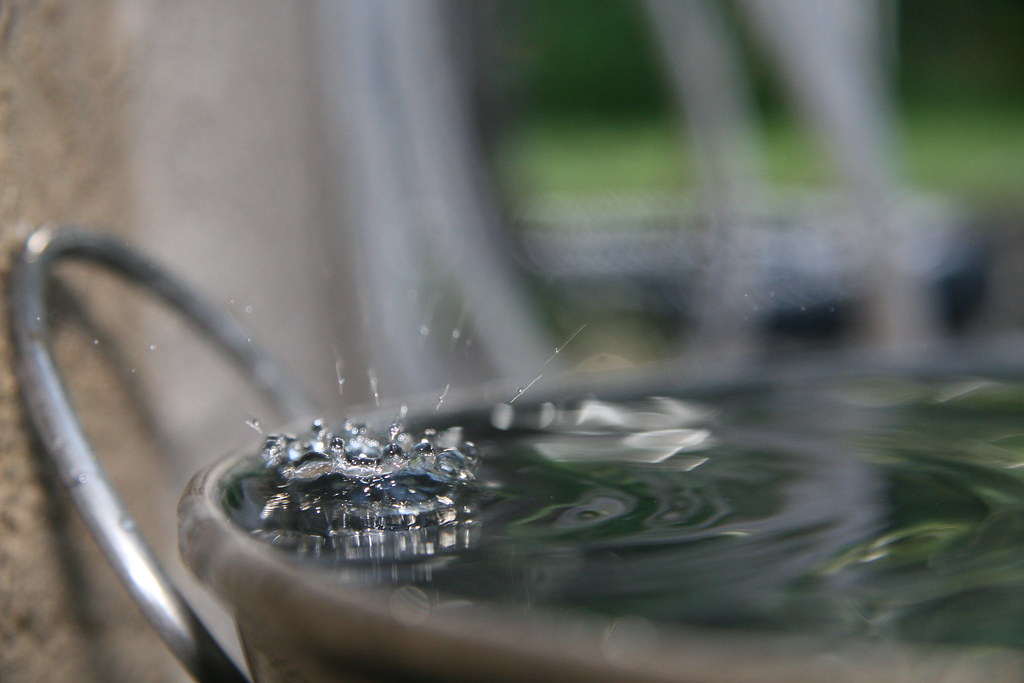 Water dripping into my dogs' water bucket in my back yard… Flickr