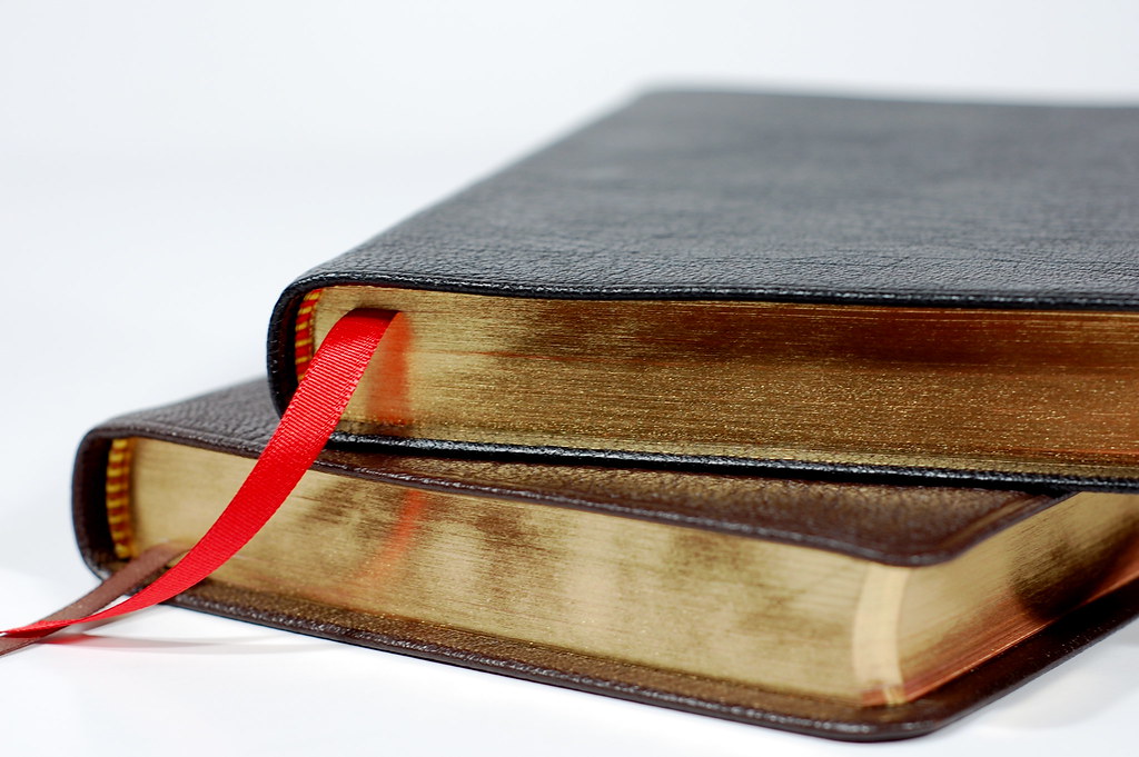 ESV Pitt Minion (Art Gilt Edges) Blogged at www.bibledesig… Flickr