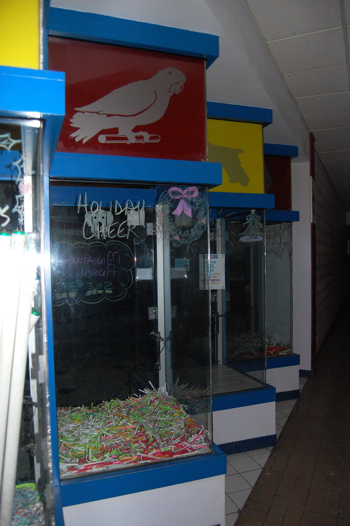 Abandoned pet store bird "Holiday cheer" Scott Miller Flickr