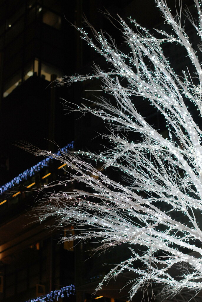 White tree Shiodome, Tokyo Mika Ueno Flickr
