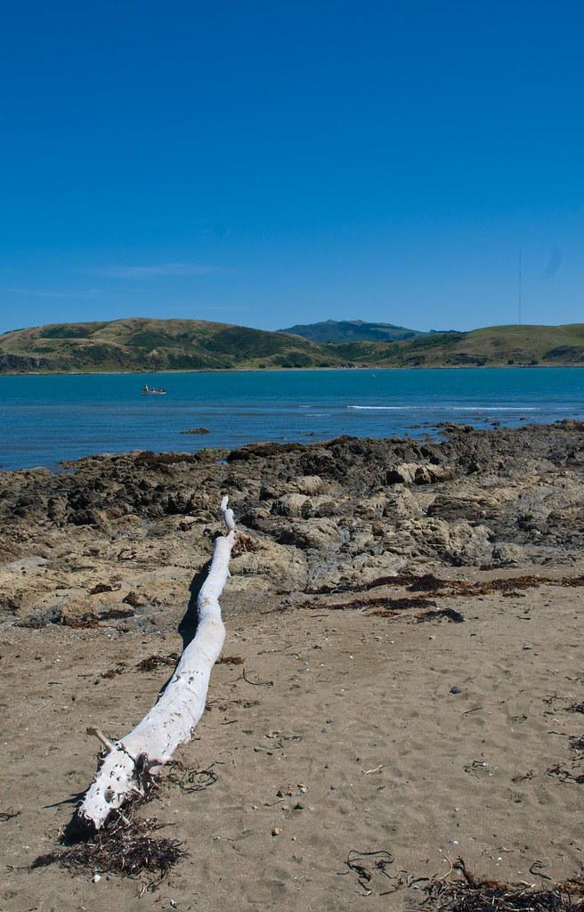 Plimmerton, New Zealand, 26 Dec. 2008 Phillip Capper Flickr