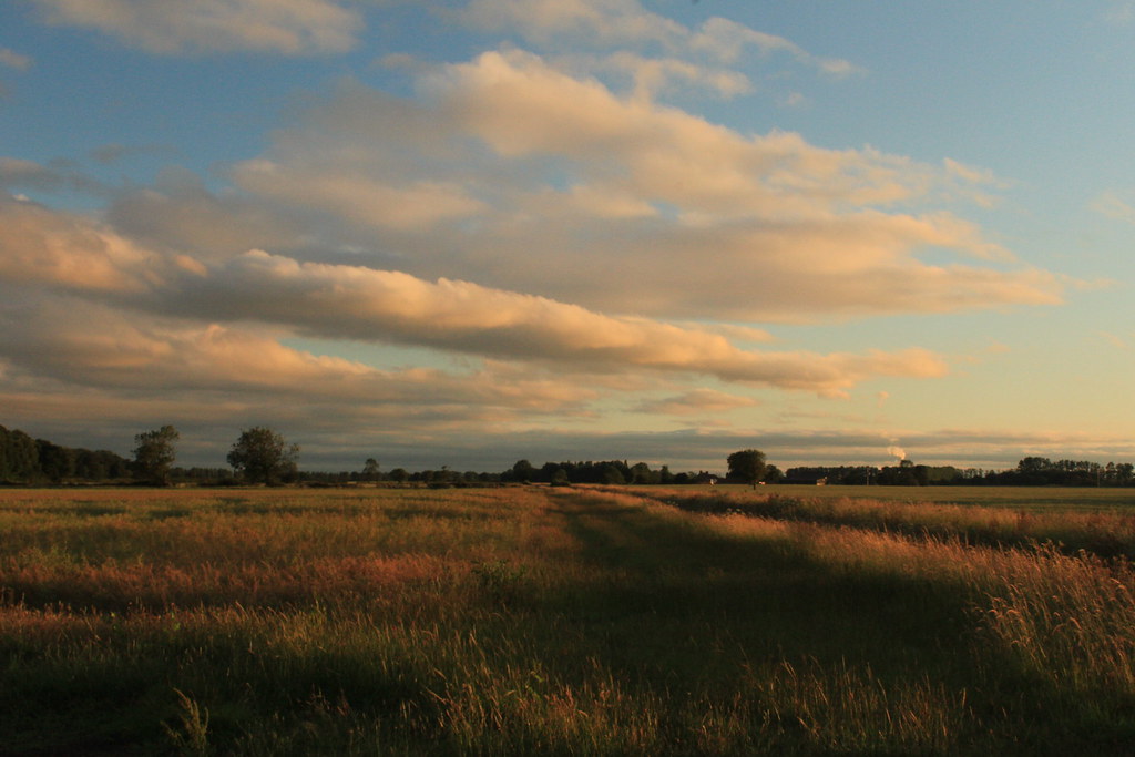Lincolnshire Evening Between Willingham by Stow and Fillin… jillyspoon Flickr