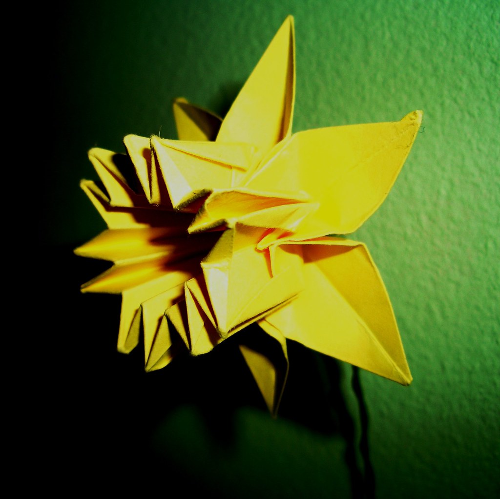 Origami Daffodil for Daffodil day Made one to show my supp… Flickr