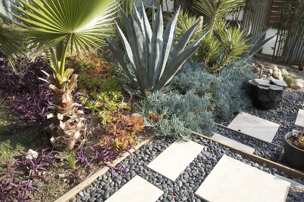 Xeriscape Native and drought tolerant landscaping. Gravel,… Flickr