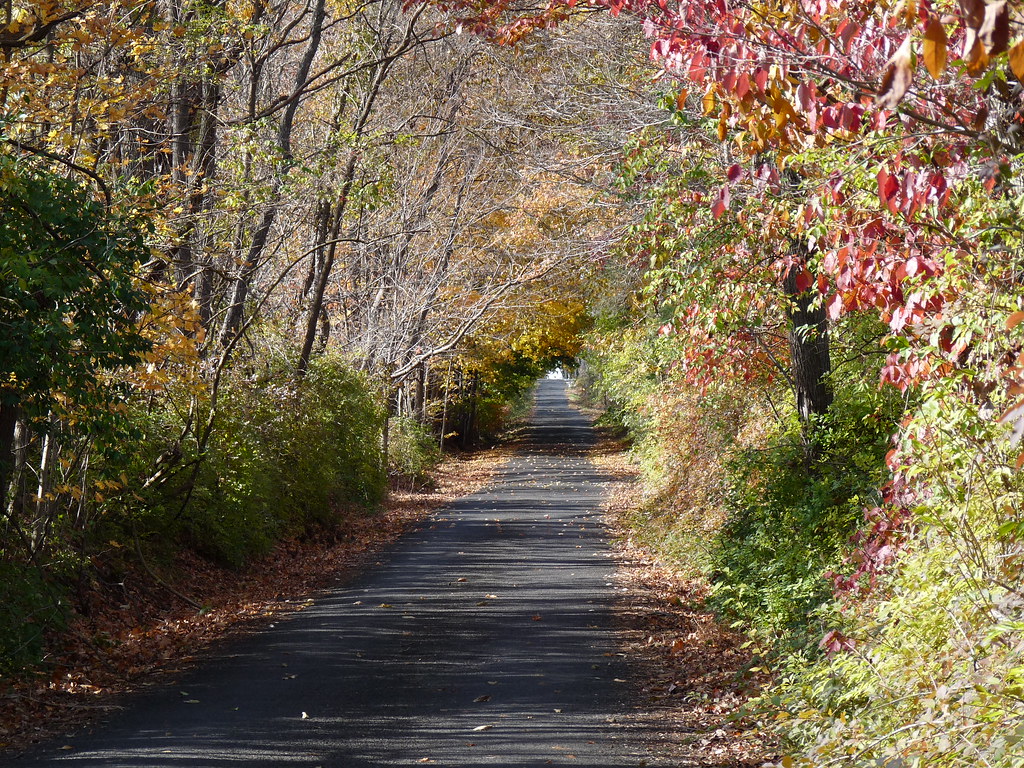 Country Road Richboro, Bucks County Ron Flickr