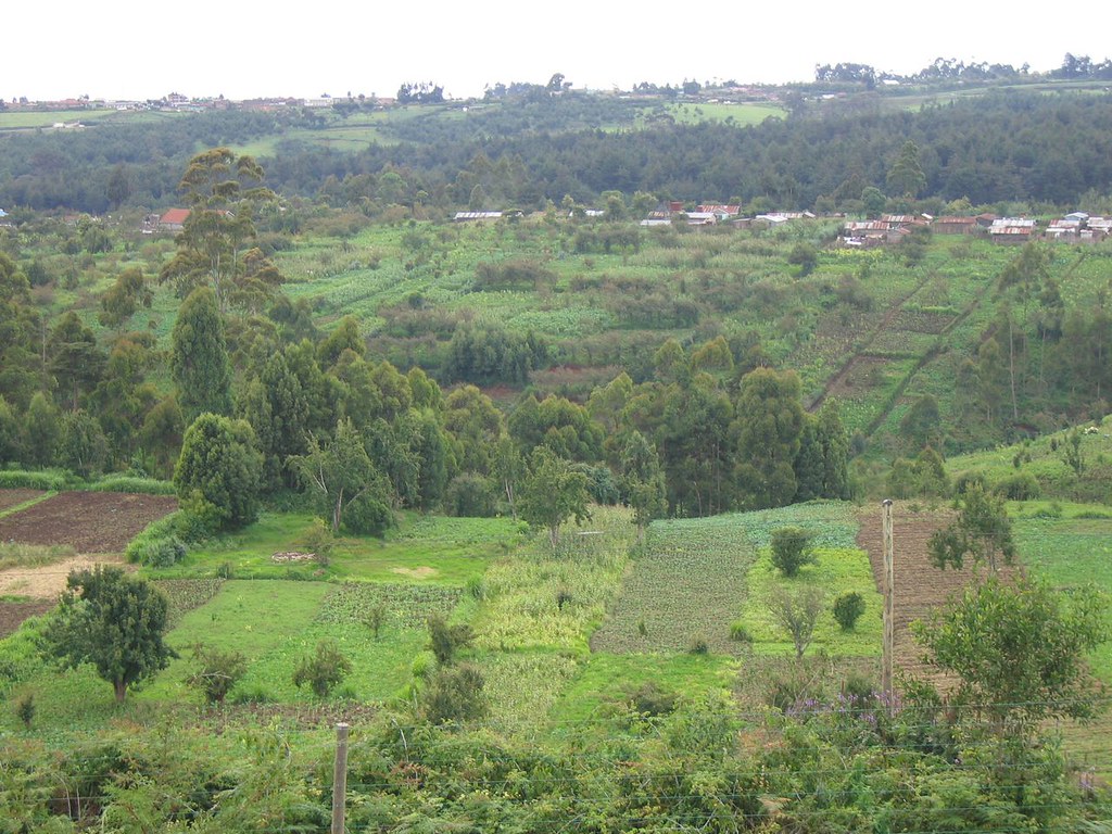 Kijabe, Kenya Agriculture landscape near kijabe forest. Wi… Flickr