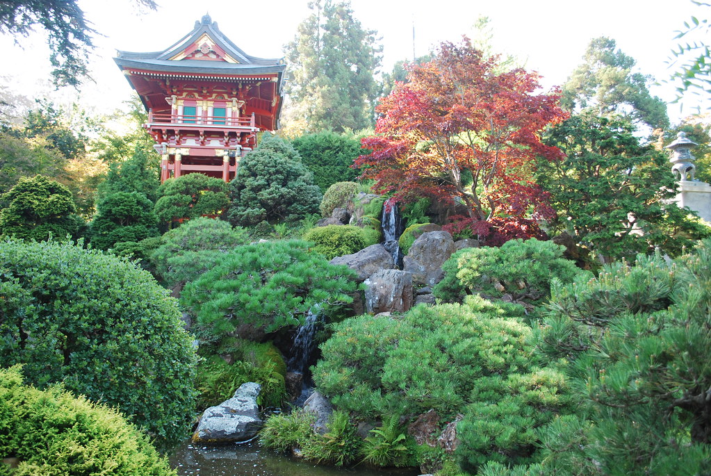 Golden Gate Park Japanese Tea Garden The West End Flickr