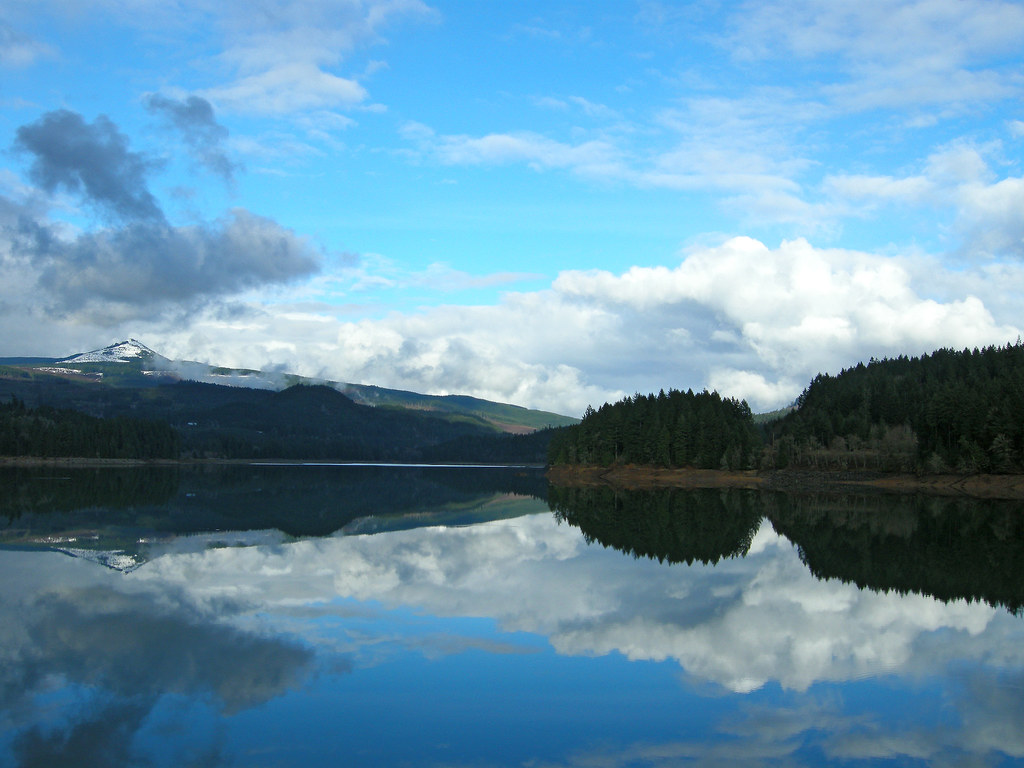 Foster Lake Reflections A reflective view of Foster Lake w… Flickr