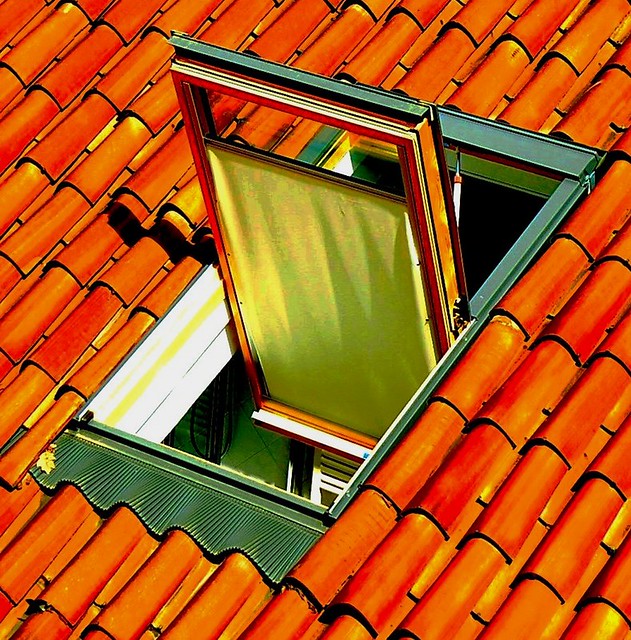la finestra sul tetto Lia Flickr