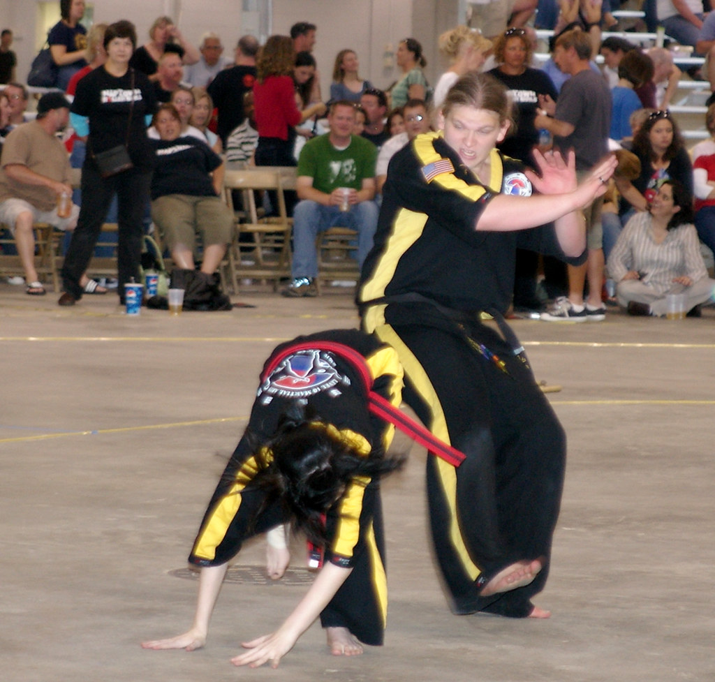 Level 10 Martial Arts Demo Team Level 10 Martial Arts Demo… Flickr