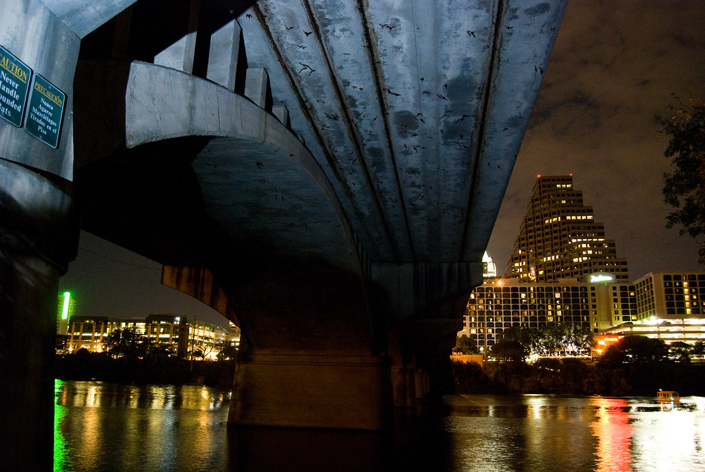 The Bat Bridge 2 Randy Baranosky Flickr