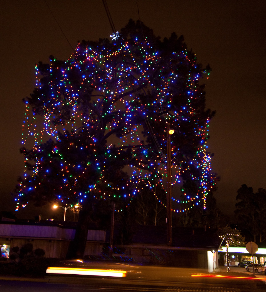Giant Christmas Tree lights at Lunardi's This giant tree w… Flickr