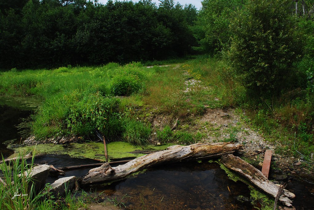 Stream Bensons Animal Park Hudson NH 2009 DSC_4840 Flickr