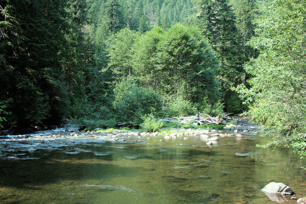 IMG_9845 Green Canyon/Salmon River Oregon Camping Trip BrainPie