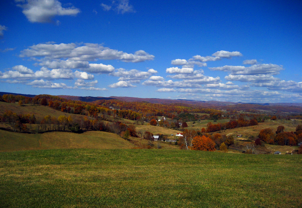 Rye Cove Looking down into Rye Cove. Brian Kilgore Flickr