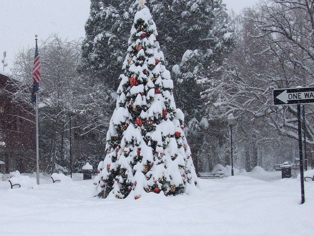 City Park Square, Christmas Tree McMinnville, Oregon (Clo… Flickr