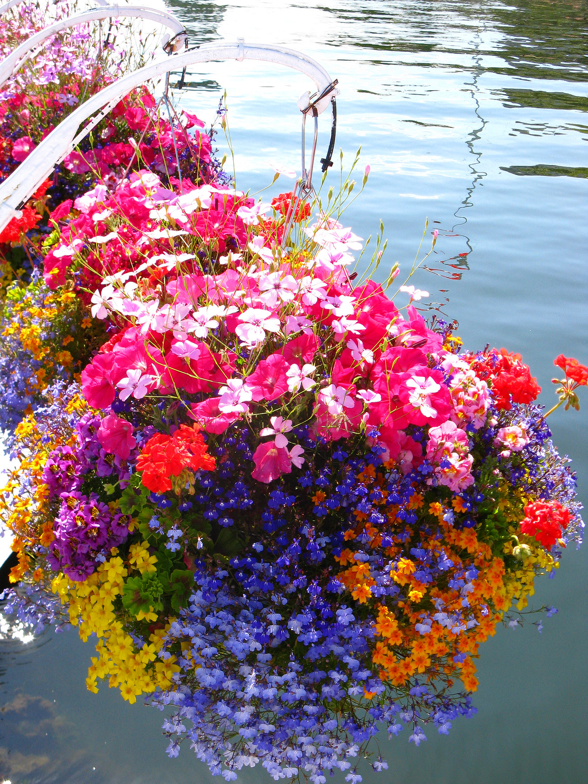 Vancouver's Hanging Baskets Flickr