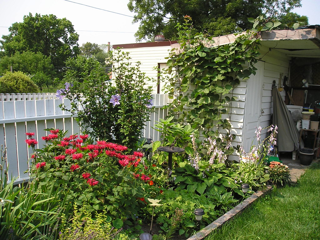 Patio garden... Garden 2008 Cassey Flickr