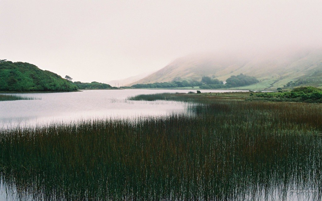 Connemara Description, comments and tags here. Miguel Ángel Vilela