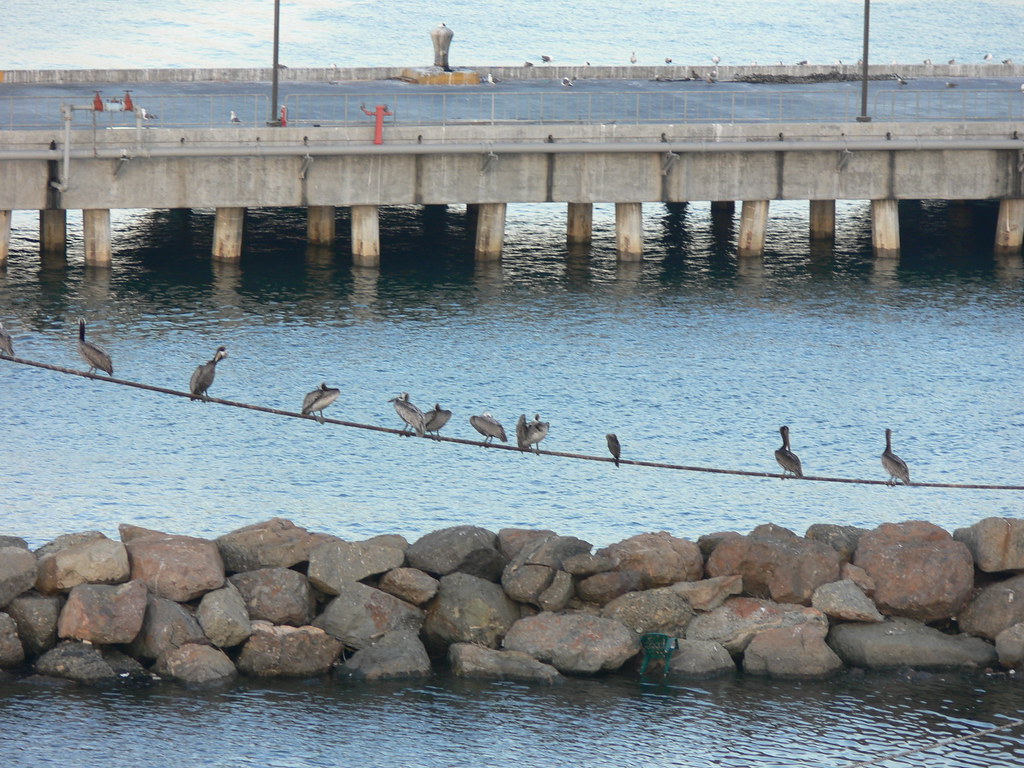 Long Beach Lando Flickr