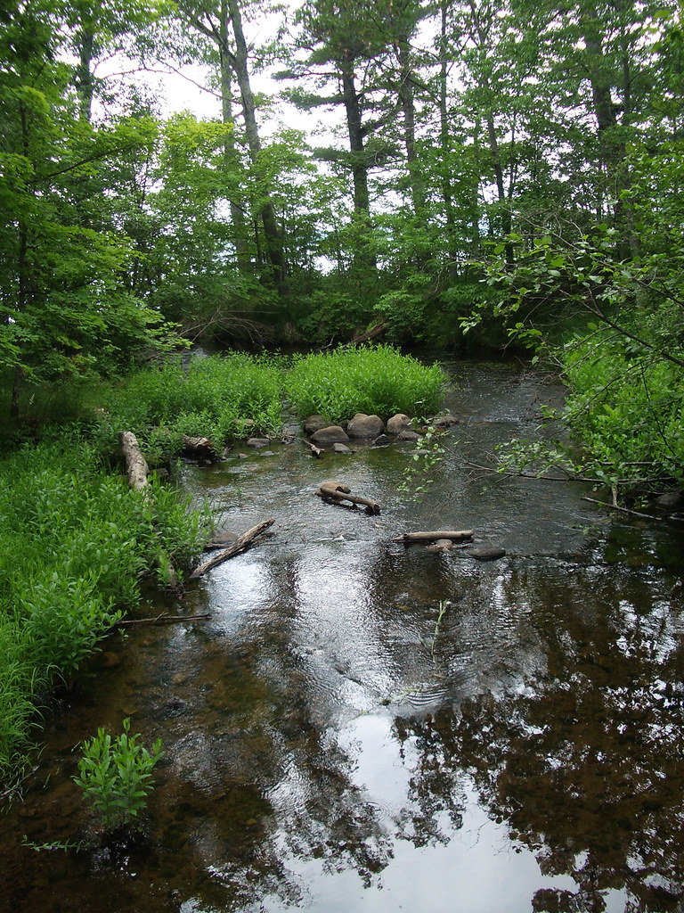 creek2TroutLake North Trout Lake Campground n the Norther… Flickr