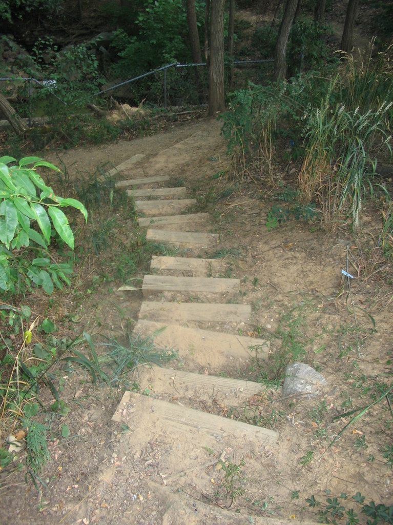 Lower Beaverdam Creek Friends of Lower Beaverdam Creek Flickr