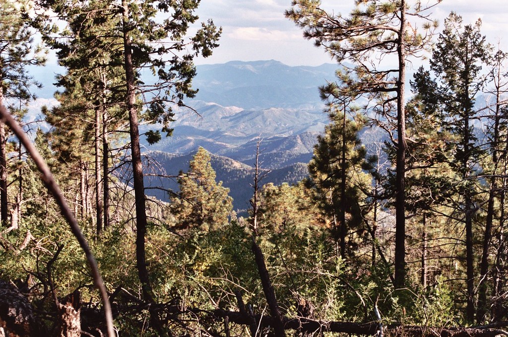 Apache National Forest, Arizona View from trail to Blue Pe… Flickr