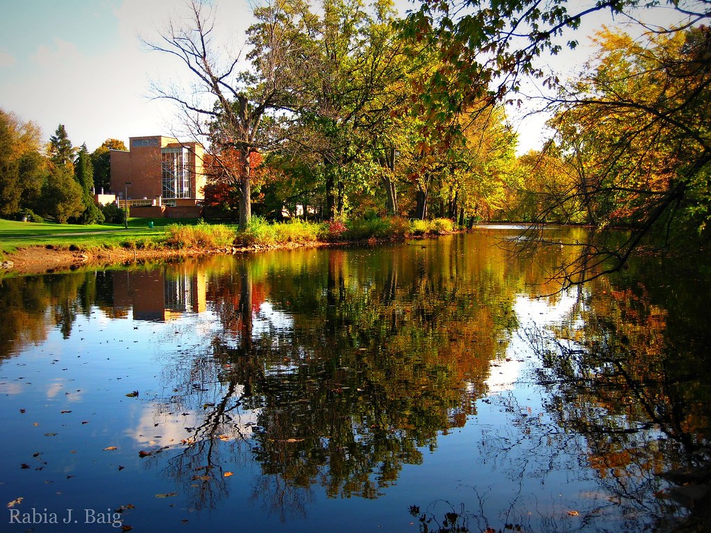 Elevation of Lake Geneva, Dewitt, MI, USA Topographic Map Altitude Map