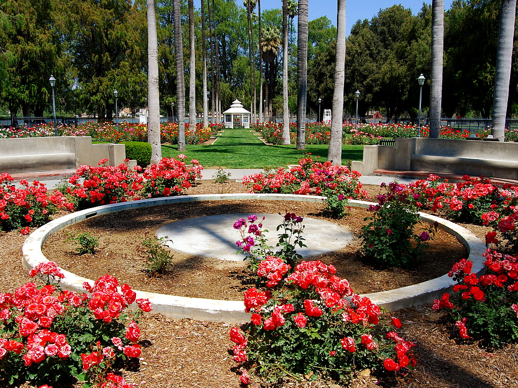 Fairmount Park Rose Garden Riverside, Ca Rose Garden Fairm… Flickr