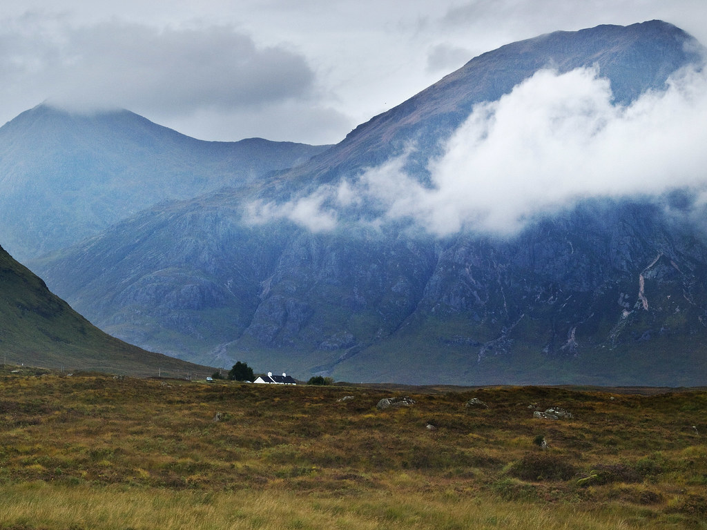 The house being swallowed up by nature In reality the cott… Flickr