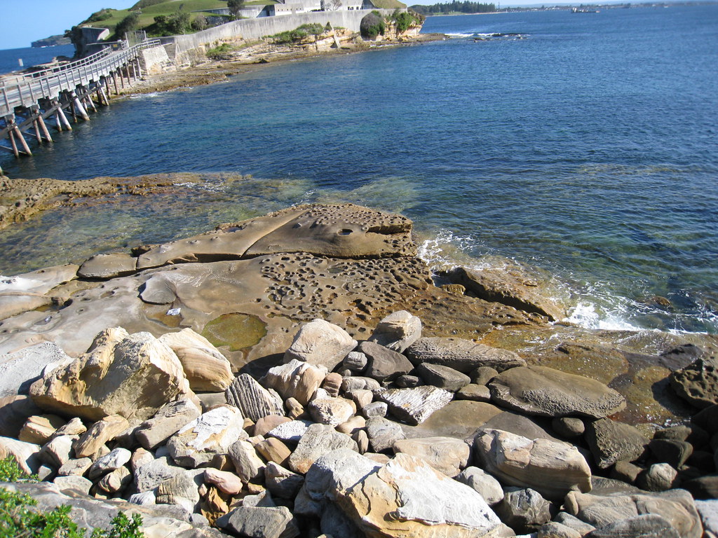 botany bay national park, sydney australia . . . N I C O L E