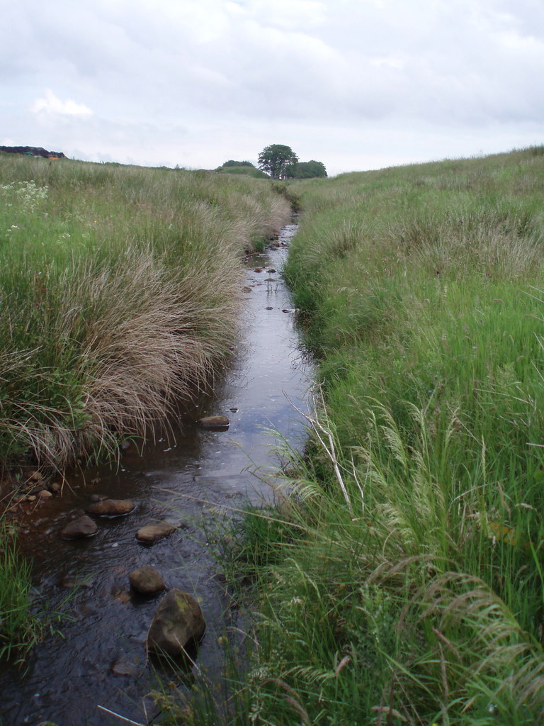 Blantyre Boundary Rotten Burn and Trees to Newhousemill R… Flickr