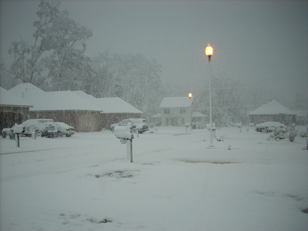 Thursday Dec 11, 2008 Louisiana Snow Day sporkfoo Flickr